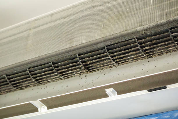 Best Commercial HVAC Duct Cleaning  in Spring Lake, MI