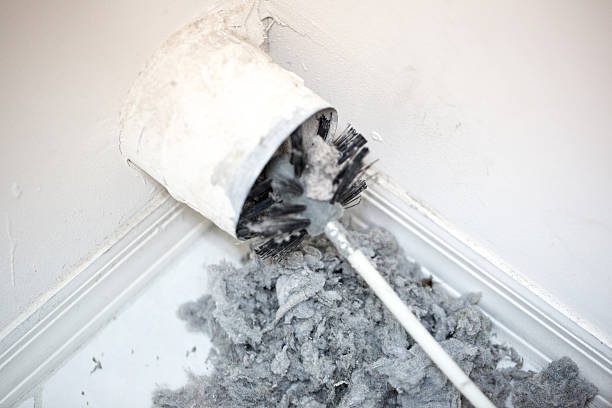 Best Air Duct Cleaning Near Me  in Spring Lake, MI